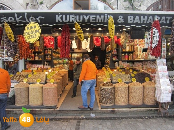 istanbul42500 (213).JPG